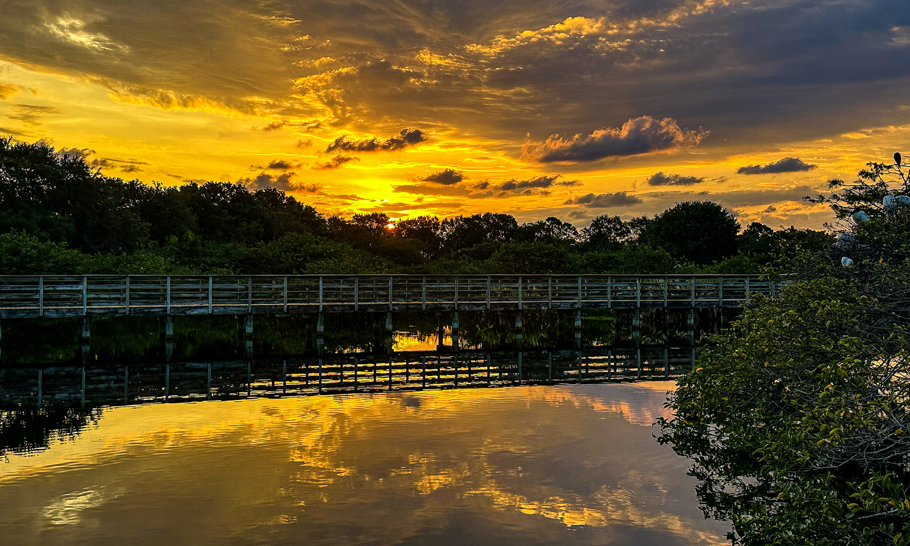 Panoramic Image of Ocoee, FL